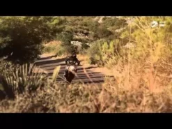 Shoei NXR Stable TC4 -Motorcycle Riding Equipment Store hqdefault 58 jpg