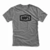 100% Essential T-Shirt - Gunmetal Heather